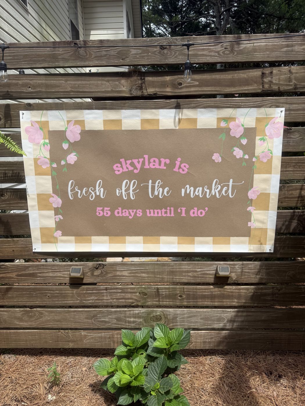 Skylar is fresh off the market banner, 55 days until I do, with a gingham border